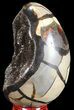 Septarian Dragon Egg Geode - Black Crystals #54575-2